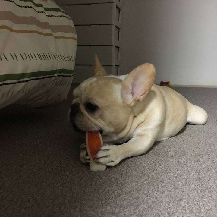 Acdef493 c604 4411 9a4e 3b351bf31d6f