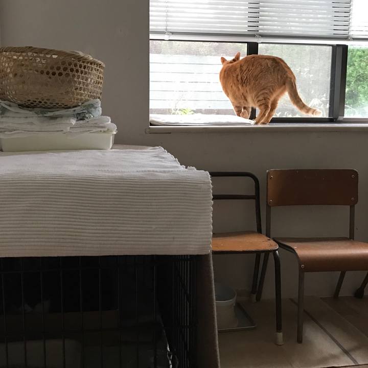 Acdf4926 6c1f 4b8f a443 946f918403b8