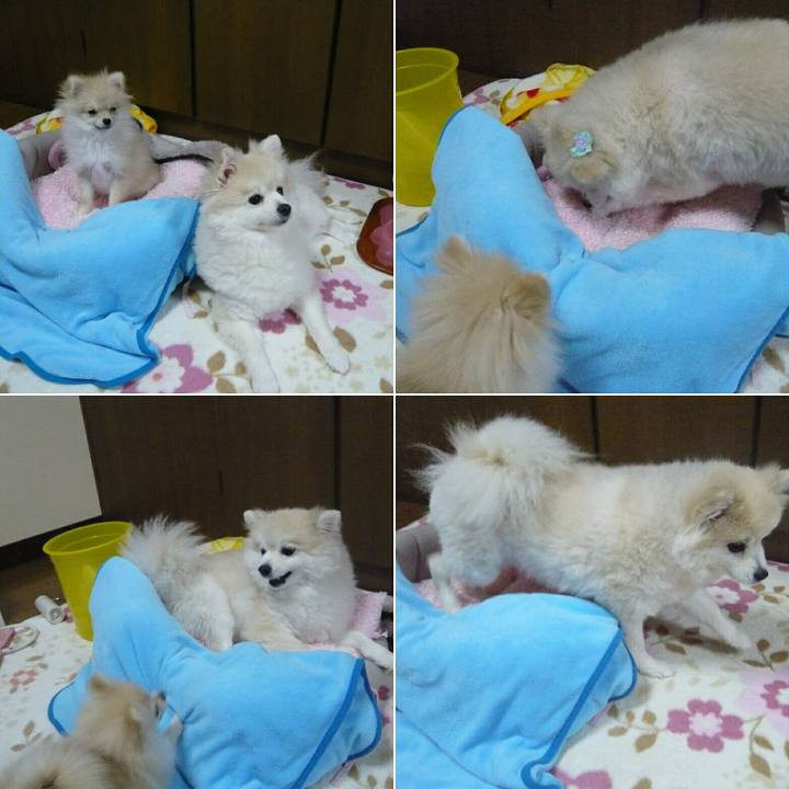 Acdfbef9 cde0 4e76 9194 28a707bfa451