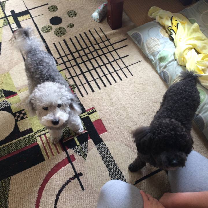 Ace02b74 a9ea 4939 b815 78a6d4cf0fc5