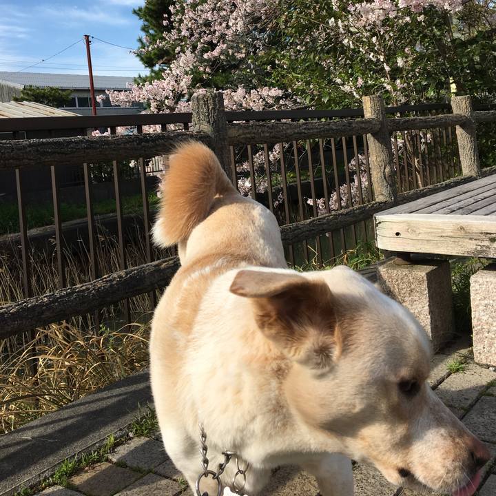 Ace04907 1543 4a04 b5bc 60e4cb395f1a