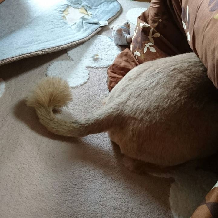 Ace08f5c 943d 4202 b866 04c00ed4e290