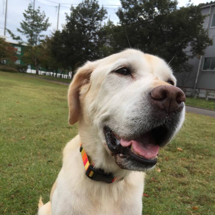 Ace0a5d8 370a 40d4 bb8f c3fc80f54dc6