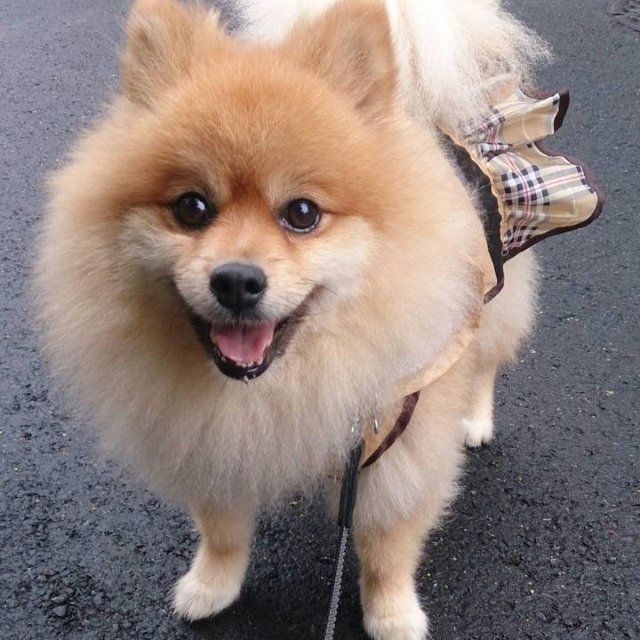 Ace0b755 047a 4912 969b 45475699393a