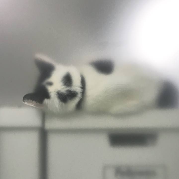 Ace10f50 fccb 4569 a043 0089959bd5ad