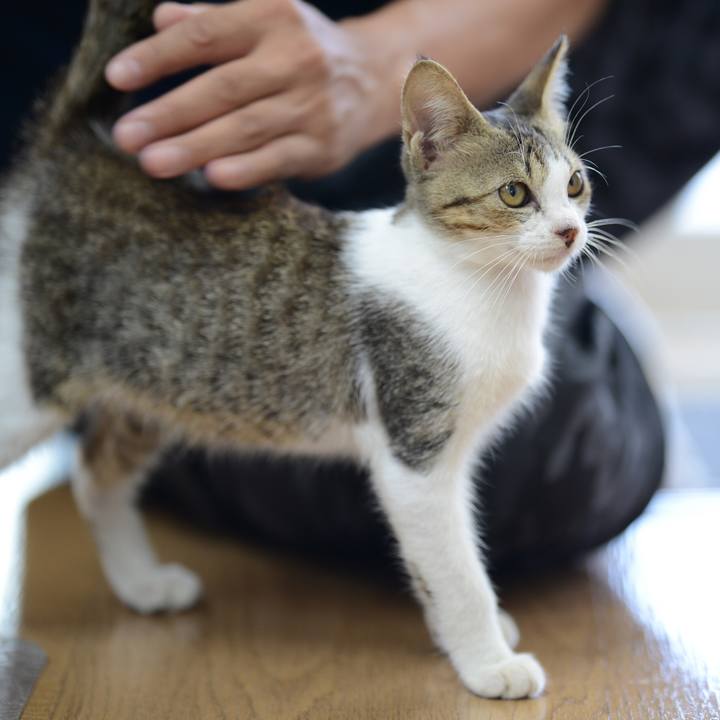 Ace1cb7d 2779 4ffc 9196 03238b63245a