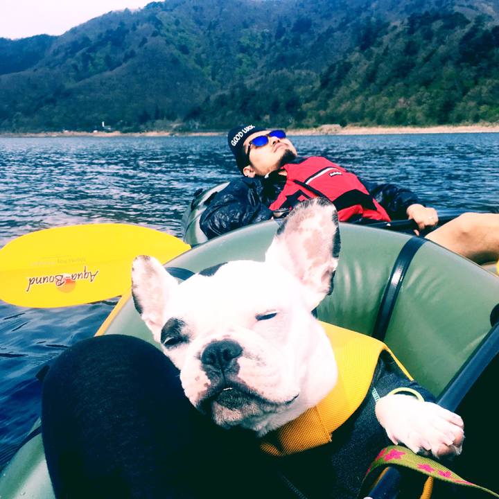 Ace1fc81 2827 4412 90a5 1395f503b800