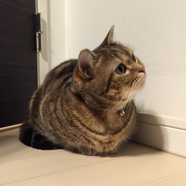 Ace2bbf6 2b65 4913 a5fb af47fe8877fb