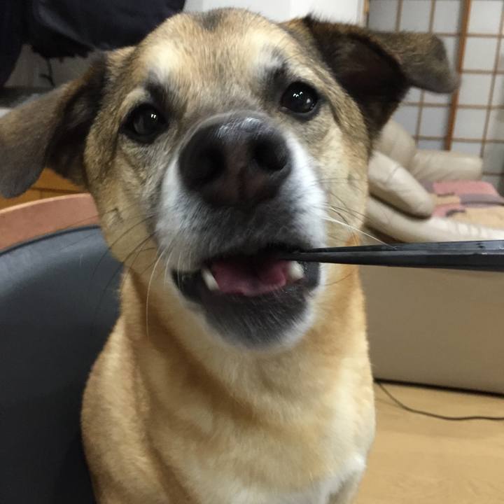 Ace2de1b fe0d 4a89 9f27 c98d220afc15