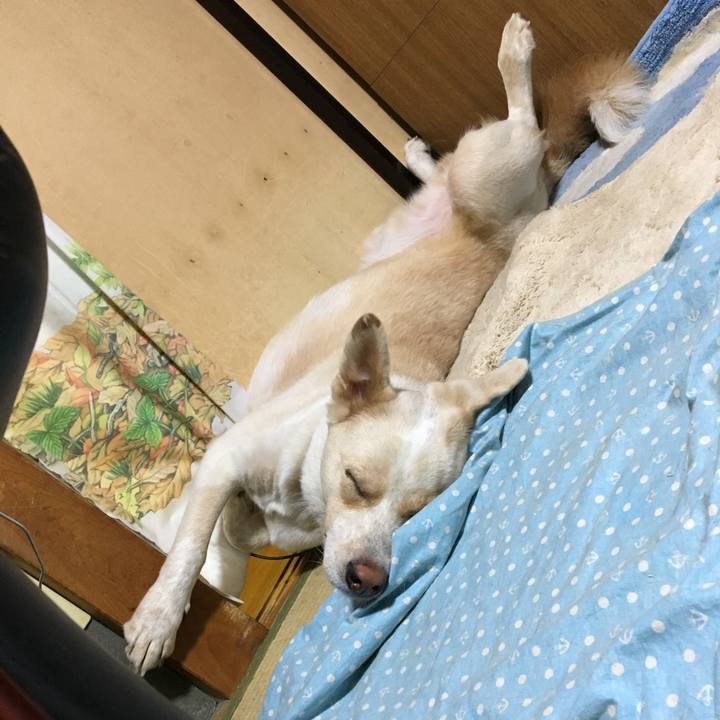 Ace2fa74 81d5 46fc b27c edf3fd715267