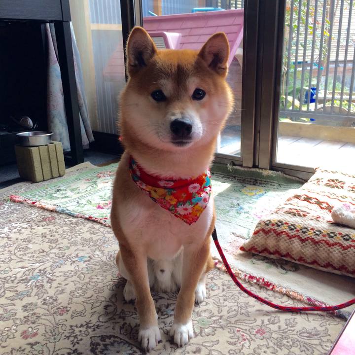 Ace33a25 e787 4b76 bdd6 066b39635424