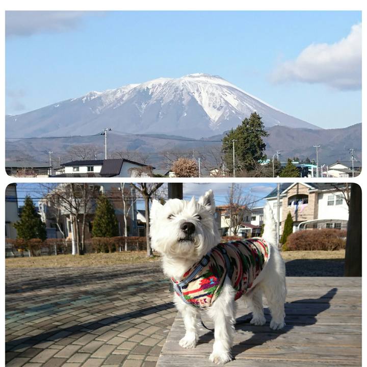 Ace396bb 099b 462e 89c9 212b2c1ad48d