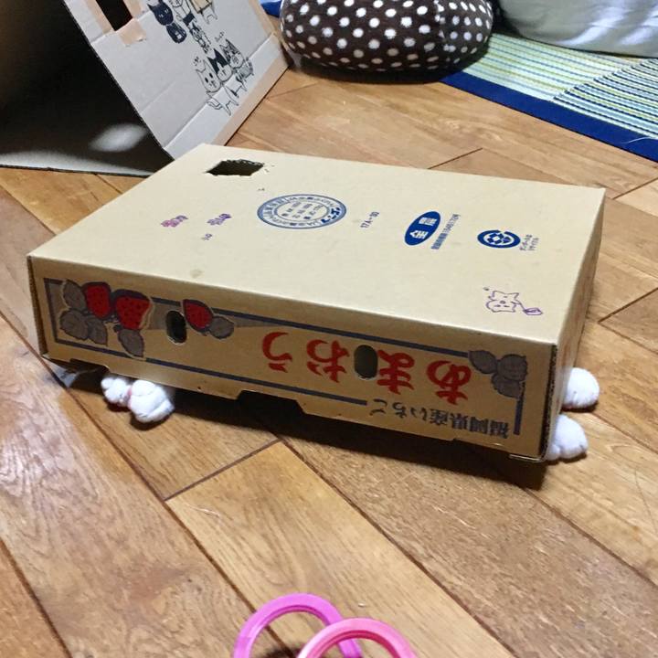 Ace4984a b341 476f 9671 da4cd34a1fcc