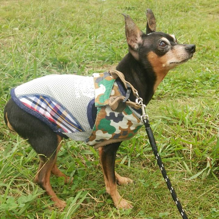 Ace54ffd f89b 4e05 81d6 172802d67e1d