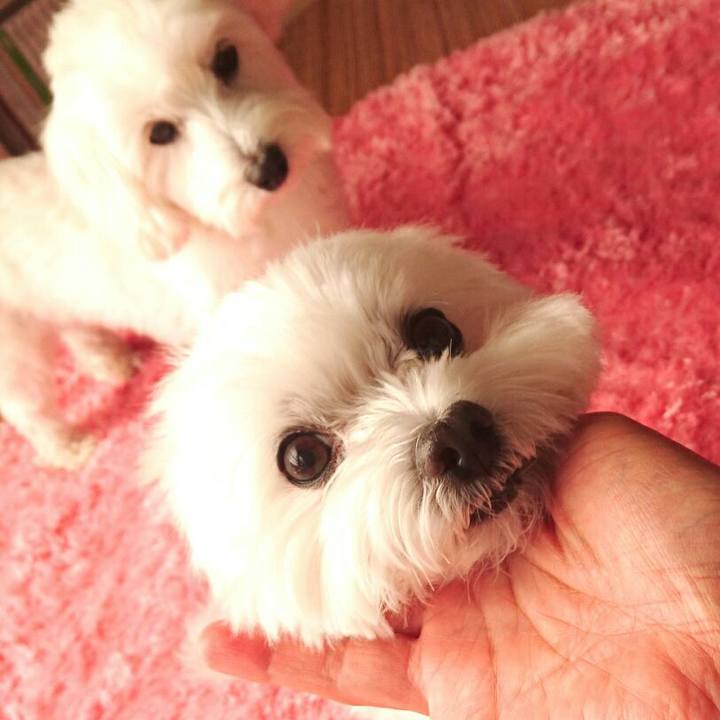 Ace555de 97e9 4117 b916 6ceecfb18740