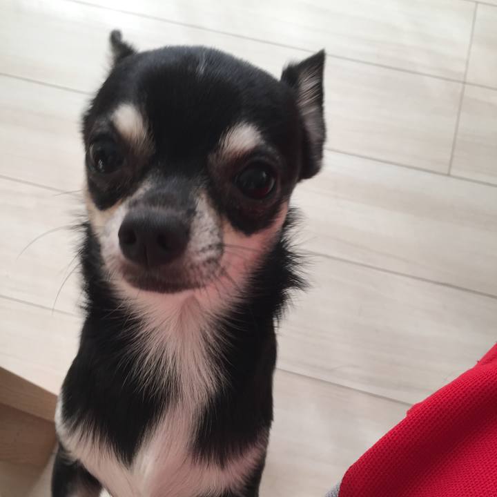 Ace5c49b 6786 47e1 a117 db086e071fc9