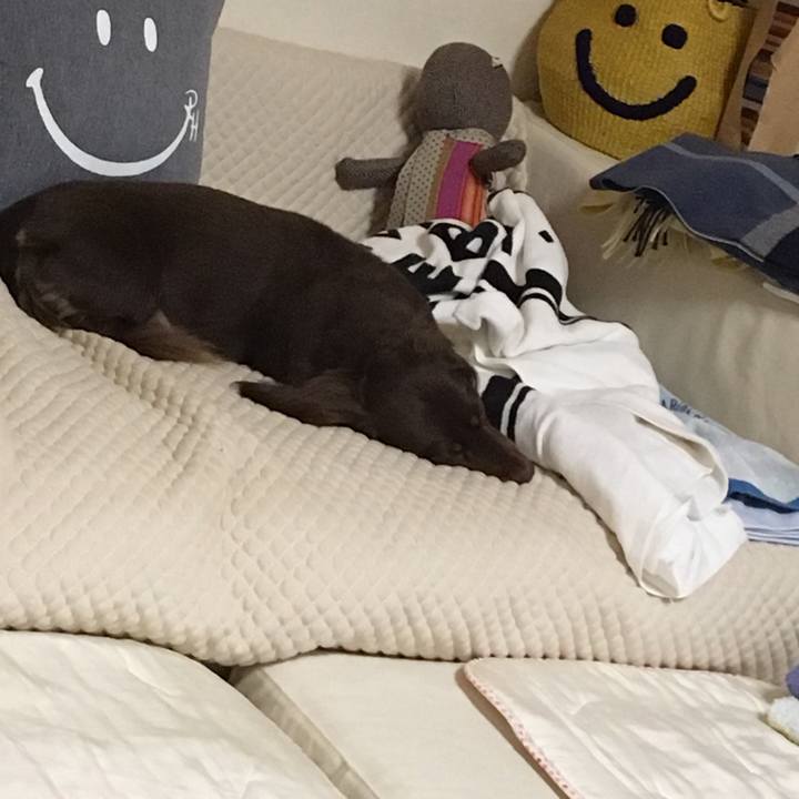 Ace5ed38 41e2 476a 9499 decf94bbd6f8