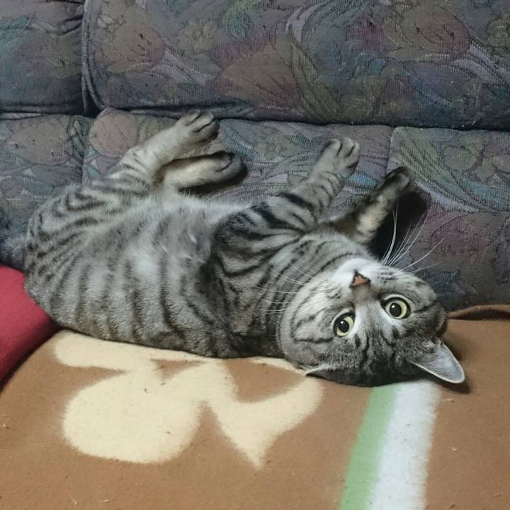 Ace63d27 c450 444e a166 feb311470404