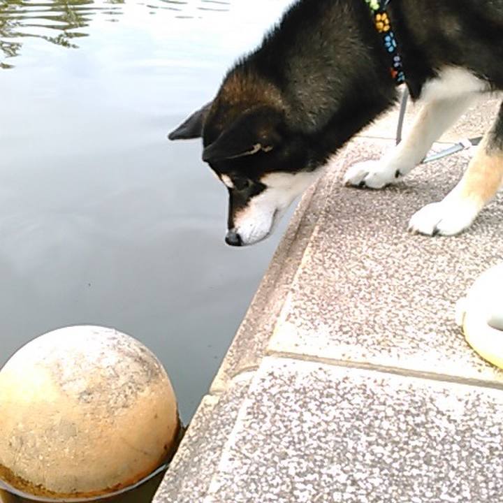 Ace68688 8f87 46d5 ab8d 832bedc50334