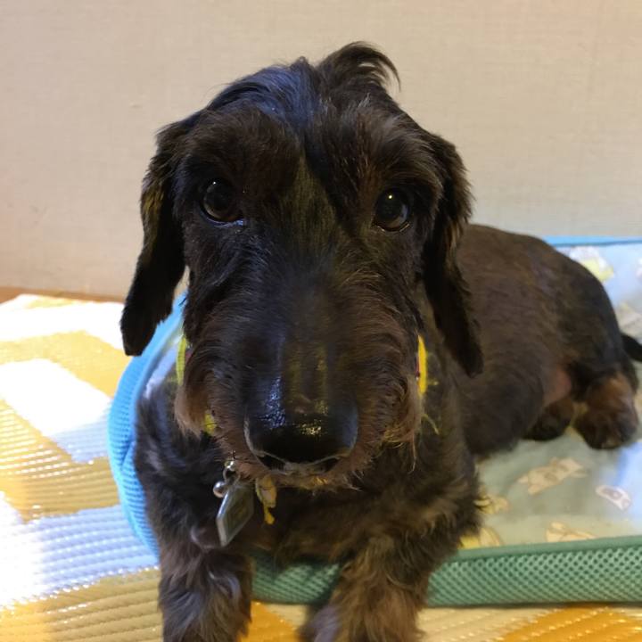 Ace74c87 d35c 4006 9c40 1023af318903