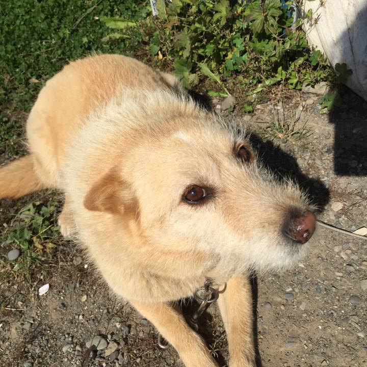 Ace7d96d 006d 4030 9cef 6e8e5712cd21