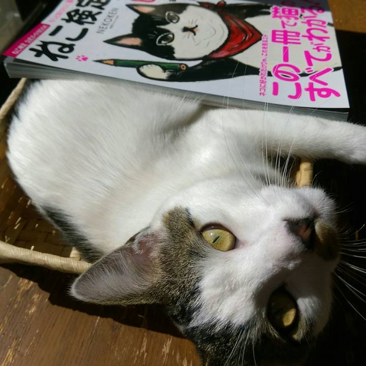 Ace873ea 217c 46af a7a5 a250d80bee0a