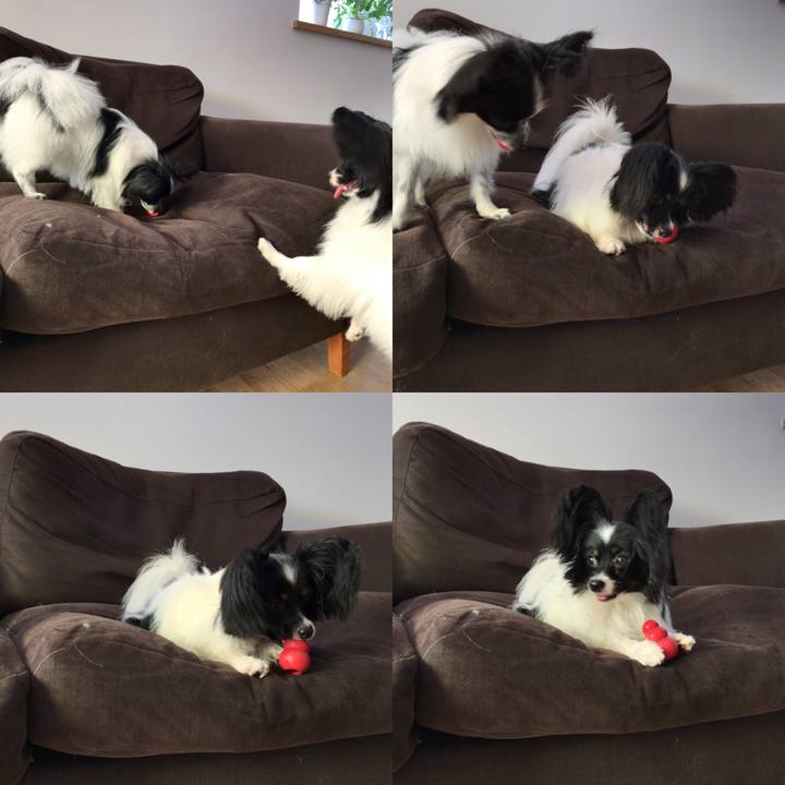 Ace89381 adc8 44a0 9e09 338e0d5c43cc