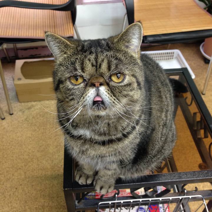 Ace90708 f4f9 4bb8 af68 ea46747904c0