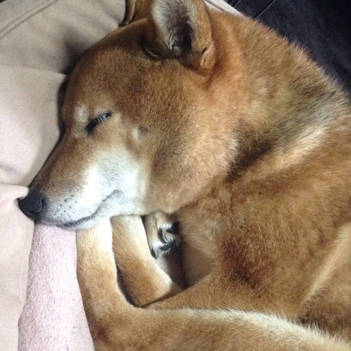 Acea01bd 67d1 42d9 9280 a701fd182e46