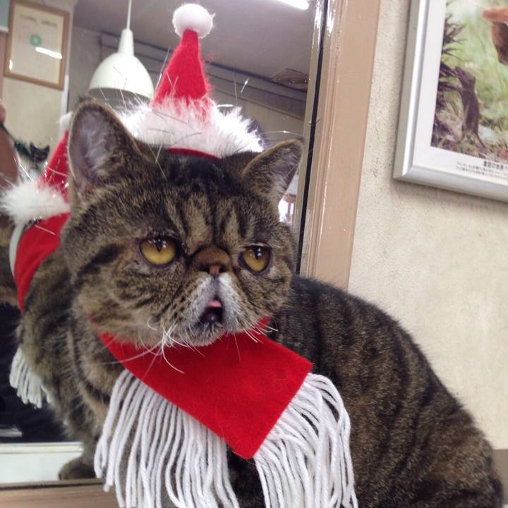 Acea6821 95e4 40fc 8b54 7061a206e00d