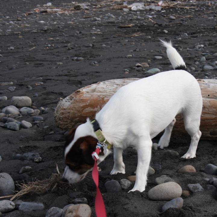 Aceaf6ed c073 46dd bd3b 19b9e7d0aff1