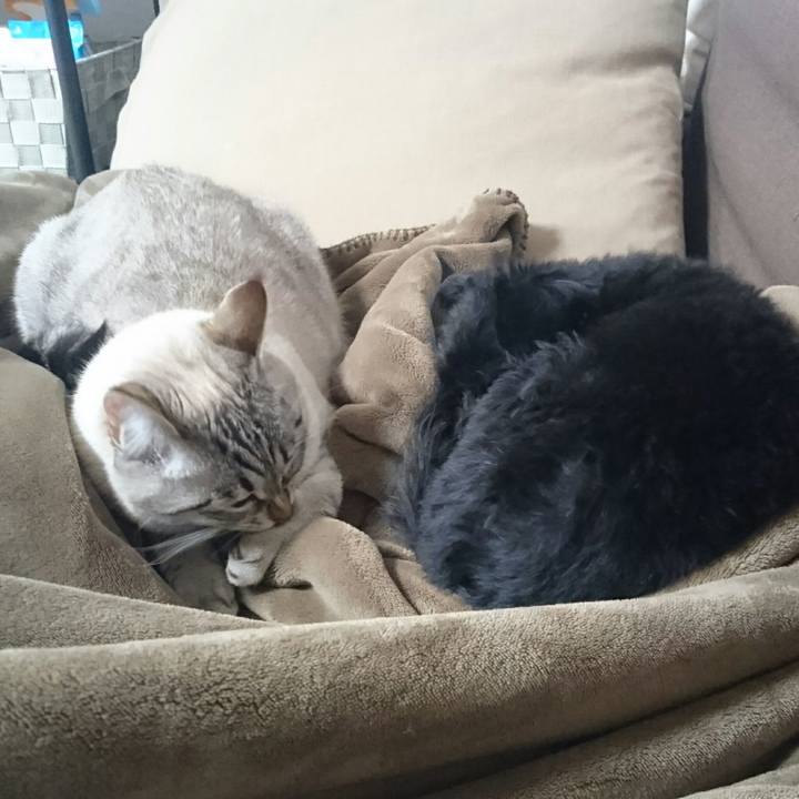 Aceb71cc 37d7 4511 84cc 9f72db18df8c