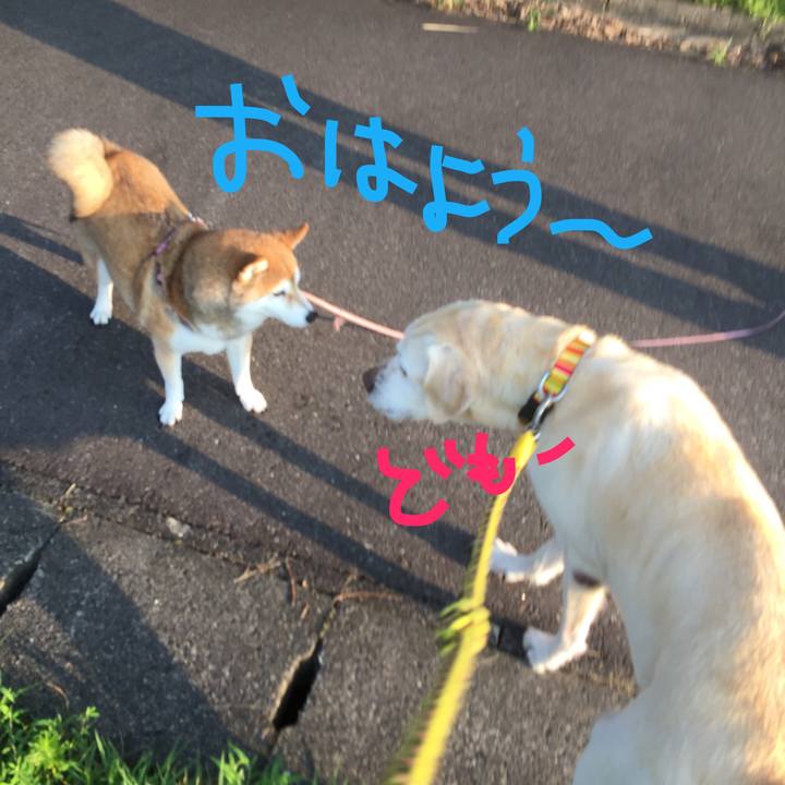 Acebfe34 70b9 458a 9cc0 c639e618b7f0