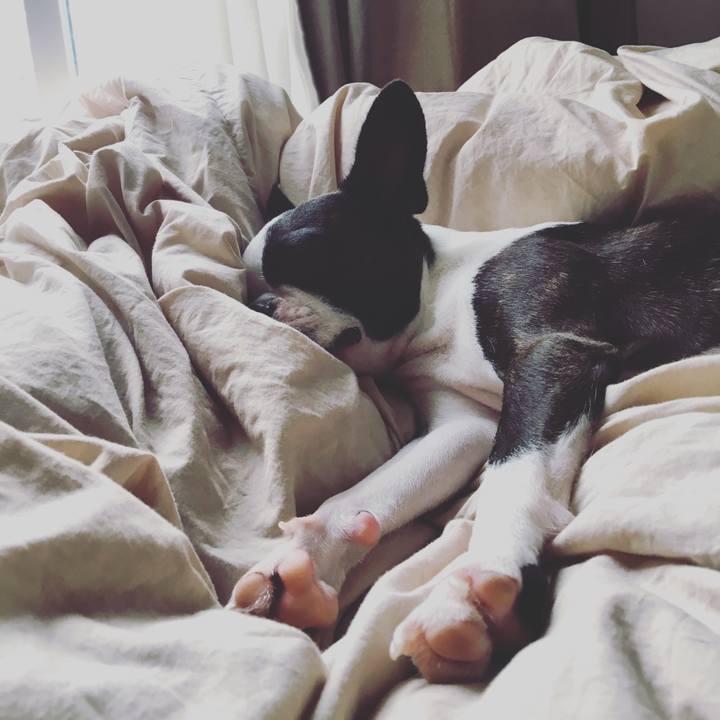 Acecd2fa 30ff 4810 9ba8 b5f95c7610d3