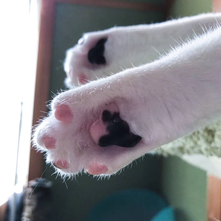 Aced778a dcb5 40c4 b91d 9b4b7dc0b1e7