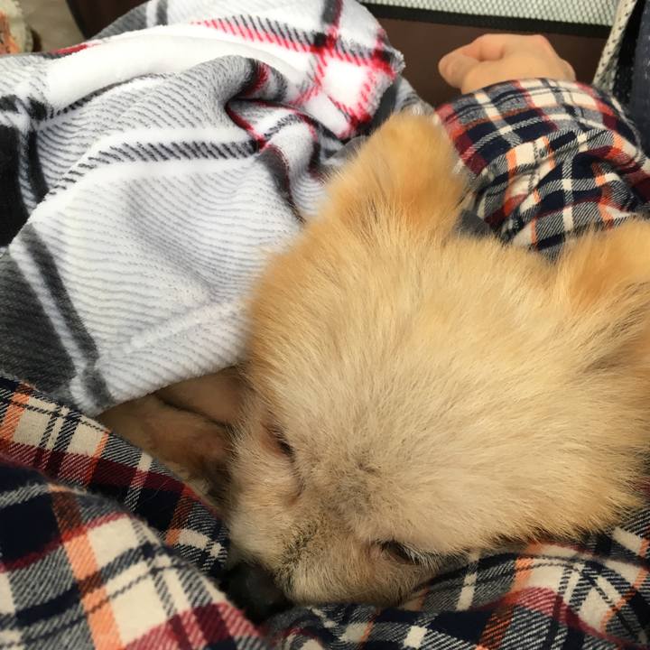 Aceff28c df94 4a6f a431 7af5a11fbe67