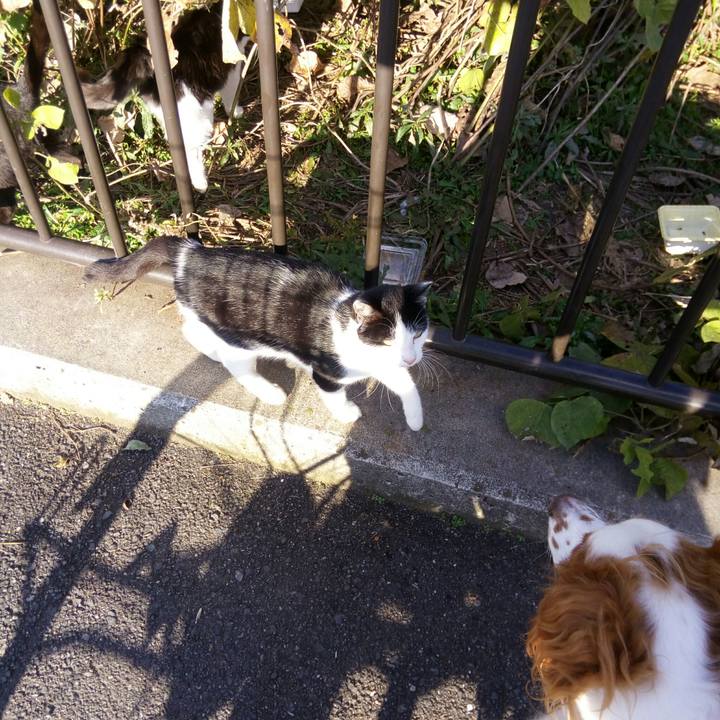 Acf0820c a730 4b0e 9835 f1b5d092b2c7