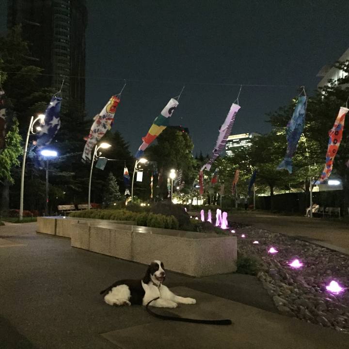 Acf16969 e587 4d3f b801 c419a0d4f87b