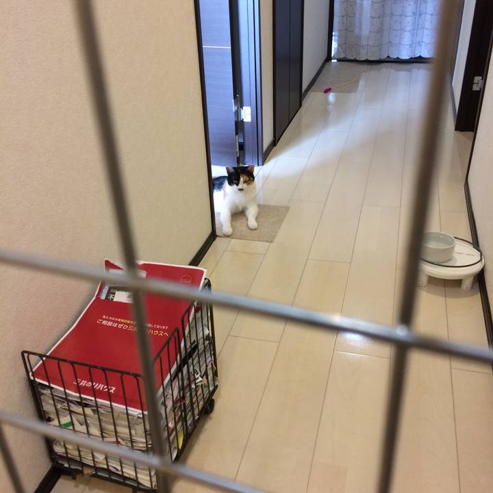 Acf17a2e 0522 42ab a925 b9888b81f93e