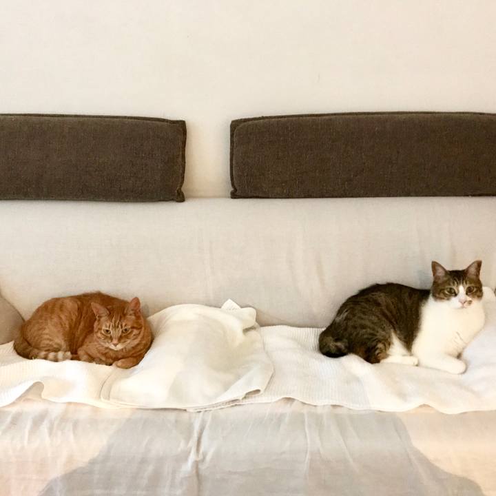 Acf19195 7a80 47ee a66e 5e70b73fc40f