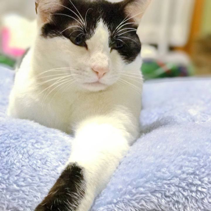 Acf1d0b8 af2f 4da4 820b 0d0a79b1f0c1