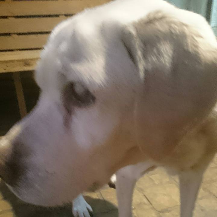 Acf258f2 f531 45fe 9548 64c2214a0979