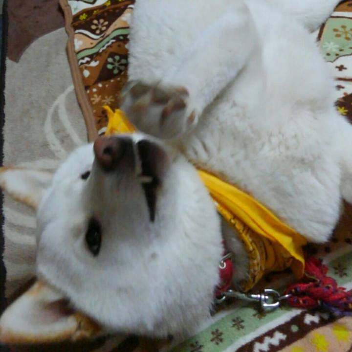 Acf25e85 e5dc 4263 bdf5 dbcb2018a146