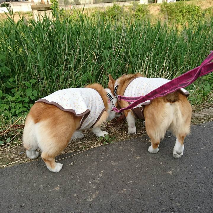 Acf342f5 7278 4a1f bb6a 2ee73fa5962c