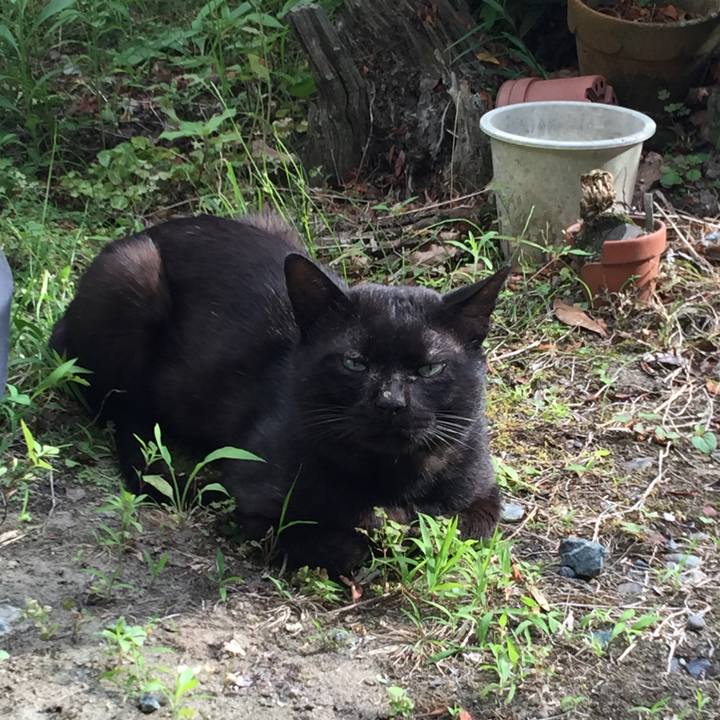 Acf3873a 8d5e 4860 b1ab 20e827dc3fe1