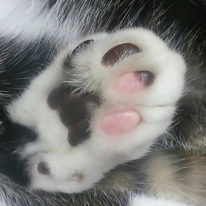 Acf42912 0c53 410e b707 a64de84ebcc6