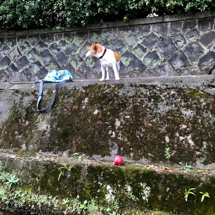 Acf586e0 6cf9 4cd9 958e d6150bfb2e70