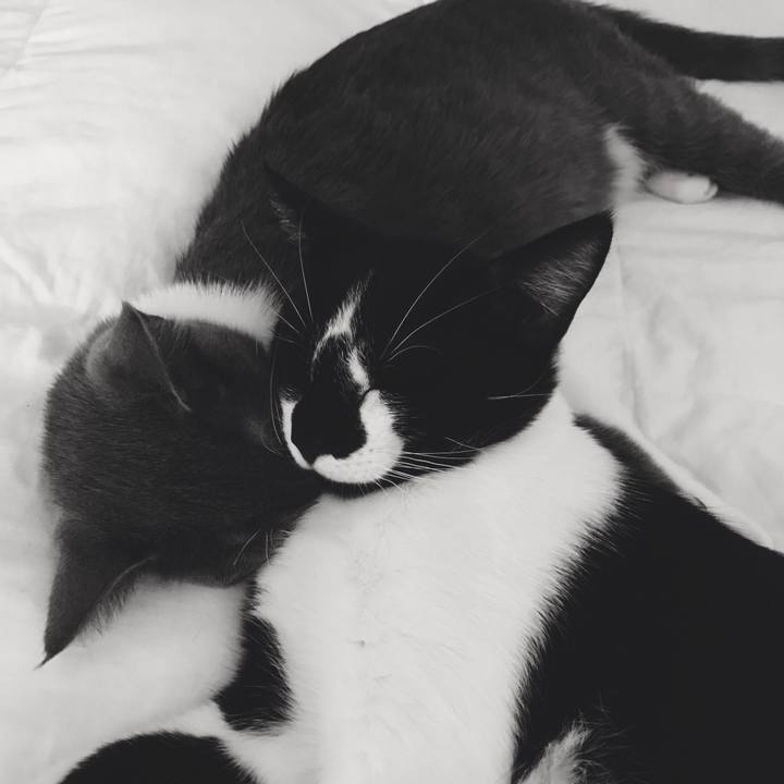 Acf5b4af 76b0 4096 adfd 926285246c6f