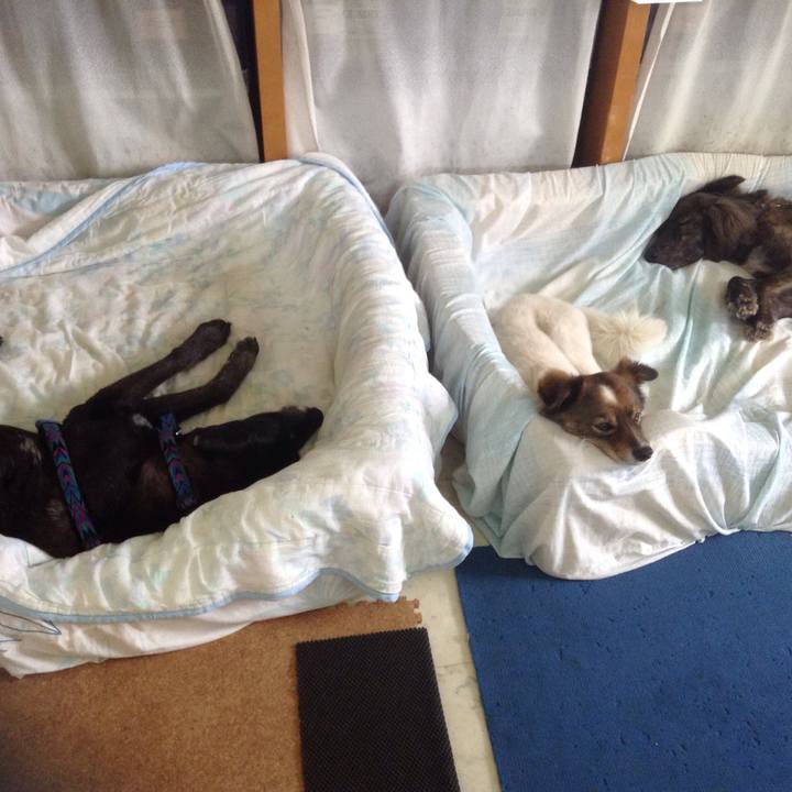 Acf5e9b9 aa16 42d1 acdd ea8642bf267b