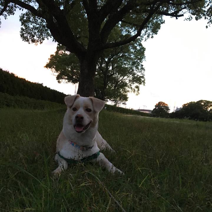 Acf5ff97 52c7 4082 a263 b7c02b6aa5f1